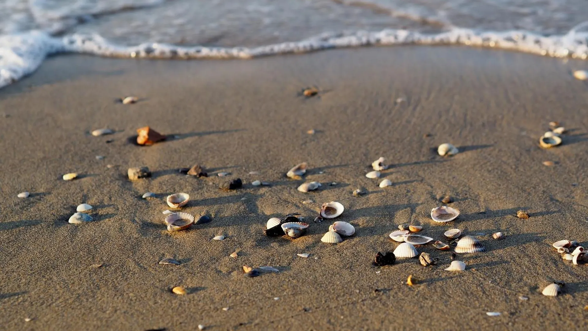 Apartment Sea-Front Studio In An Excellent Position Bibione