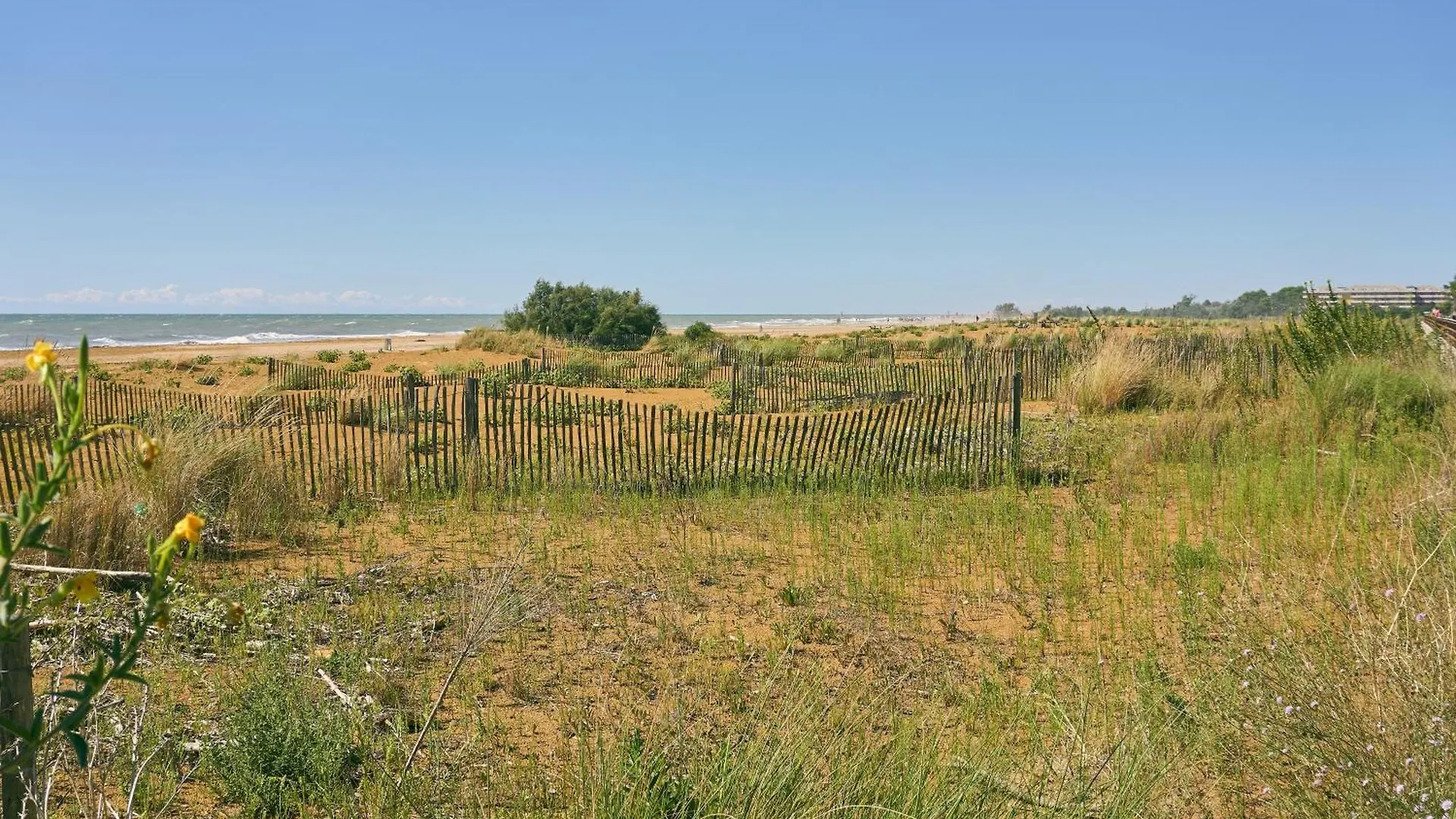 Sea-Front Studio In An Excellent Position Bibione Apartment